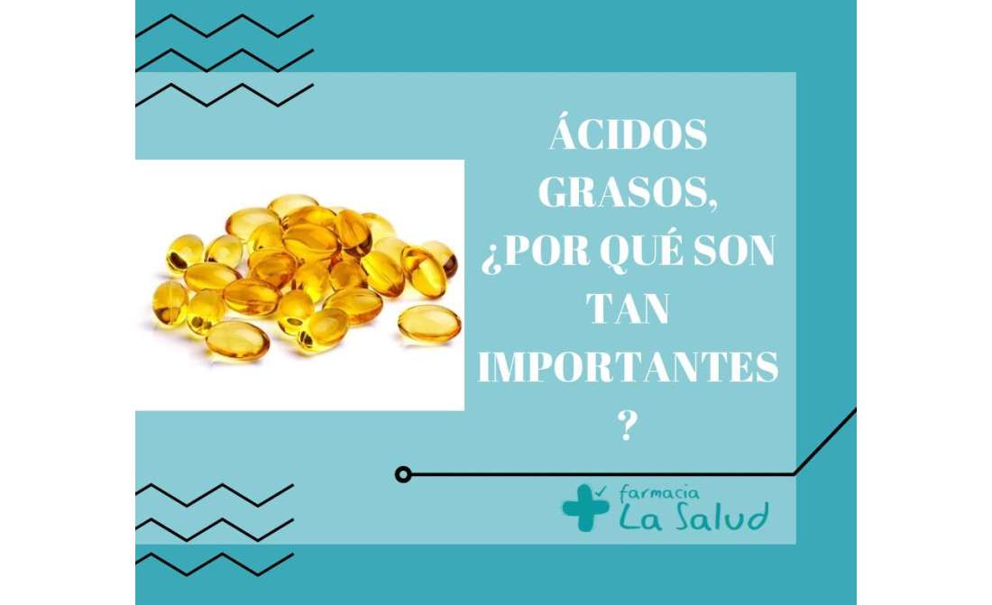 ÁCIDOS GRASOS, ¿POR QUÉ SON TAN IMPORTANTES?